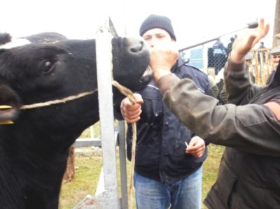 Gardensel arşivinden temsili görsel