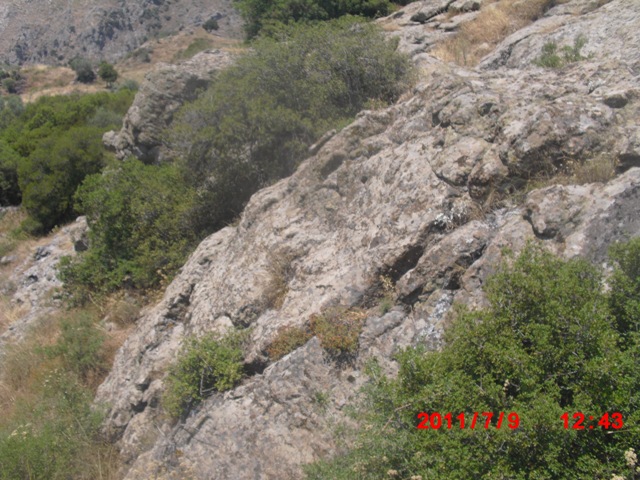 Haber görseli