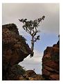 Click image for larger version

Name:	A�a� .jpg
Views:	8
Size:	62.2 KB (Kilobyte)
ID:	77159