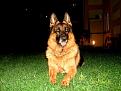 Click image for larger version

Name:	Aleks.jpg
Views:	1
Size:	66.0 KB (Kilobyte)
ID:	77182