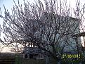 Click image for larger version

Name:	100_8348.jpg
Views:	4
Size:	680.8 KB (Kilobyte)
ID:	77197
