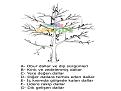 Click image for larger version

Name:	A�a� 1.jpg
Views:	10
Size:	52.0 KB (Kilobyte)
ID:	77464