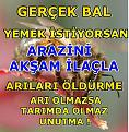 Click image for larger version

Name:	arı.jpg
Views:	4
Size:	100.0 KB (Kilobyte)
ID:	77559