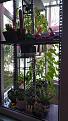 Click image for larger version

Name:	20160409_142452.jpg
Views:	15
Size:	350.9 KB (Kilobyte)
ID:	77590