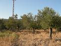 Click image for larger version

Name:	2012.09 yazl�k 011.jpg
Views:	3
Size:	512.3 KB (Kilobyte)
ID:	77606