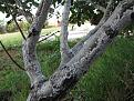 Click image for larger version

Name:	IMG_2434.JPG
Views:	7
Size:	163.9 KB (Kilobyte)
ID:	77760