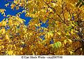 Click image for larger version

Name:	12.jpg
Views:	1
Size:	61.3 KB (Kilobyte)
ID:	77953