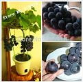 Click image for larger version

Name:	�Z�M3.jpg
Views:	11
Size:	53.8 KB (Kilobyte)
ID:	77993