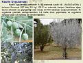 Click image for larger version

Name:	2017-11-10_14h32_20.jpg
Views:	6
Size:	114.3 KB (Kilobyte)
ID:	78016