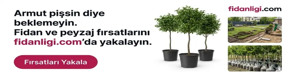 fidan ve peyzaj fırsatları fidanligi.com’da