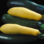 Haber görseli