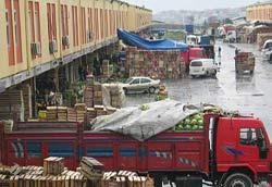 Gardensel arşivinden temsili görsel