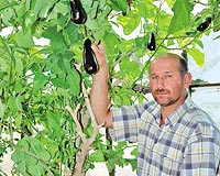 Haber görseli