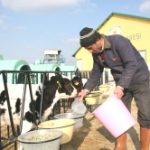 Gardensel arşivinden temsili görsel