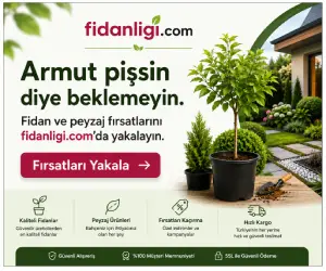 Fidanligi.com