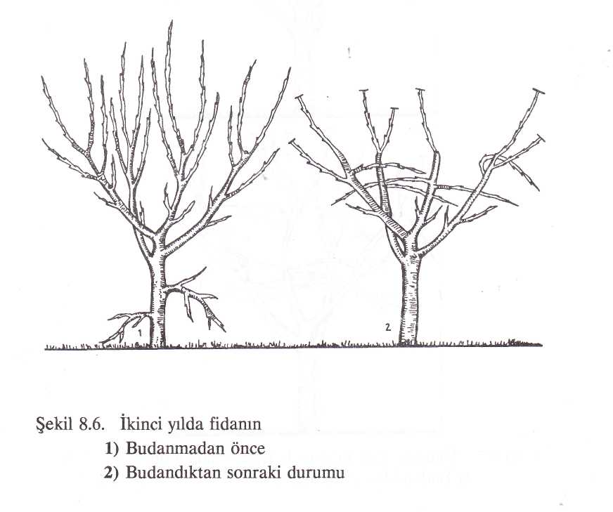 Haber görseli